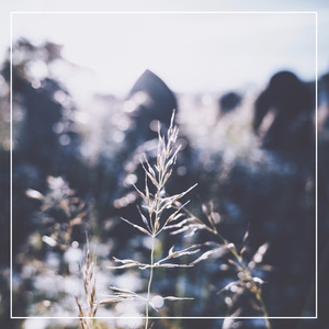 老公被小头头视频大全
