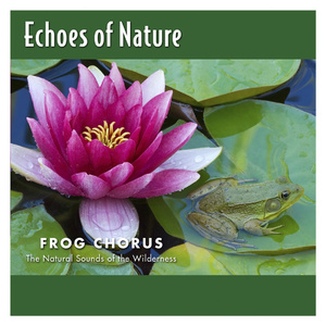 老公被小头头视频大全
