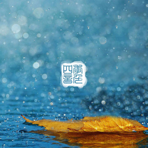 老公被小头头视频大全
